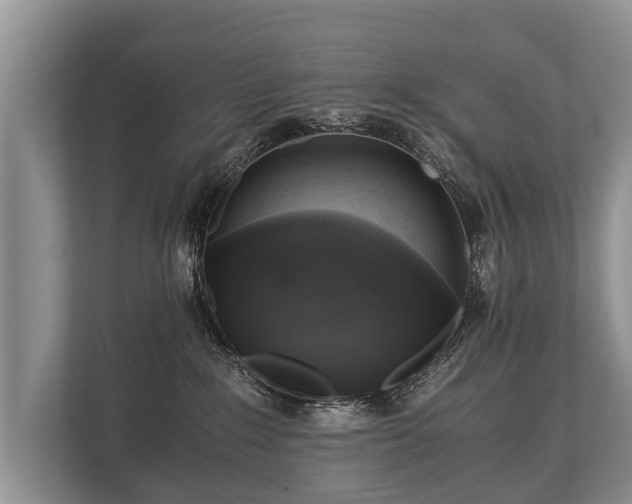 X0000110320235200905281639