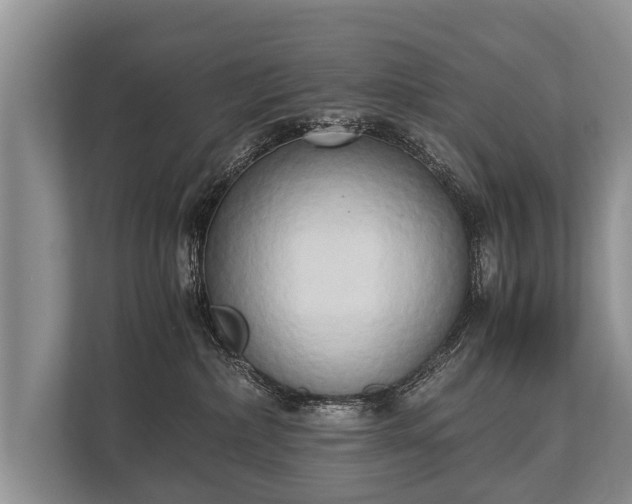 X0000110320236200905281639