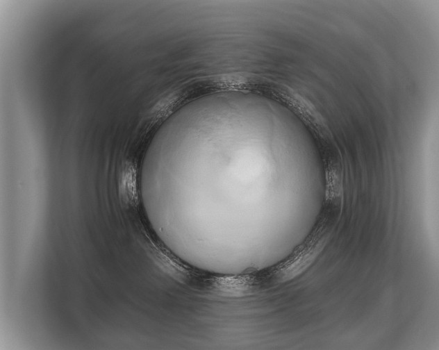 X0000110320238200905281639