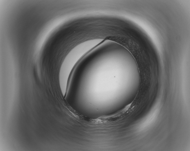 X0000110320239200905281639