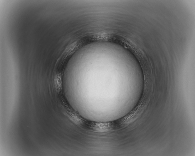 X0000110320240200905281639