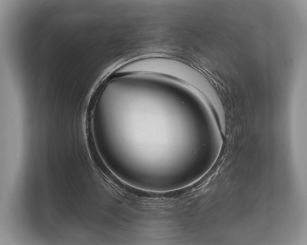 X0000110320244200905281638