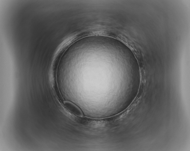 X0000110320245200905281638