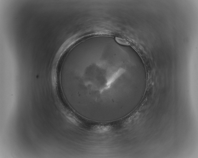 X0000110320247200905281638