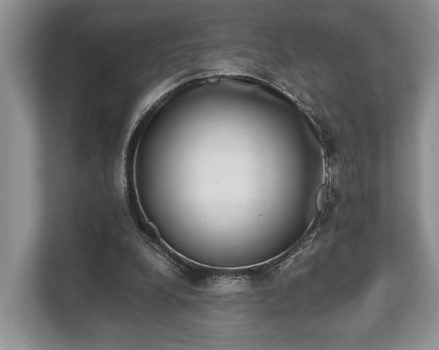 X0000110320248200905281638