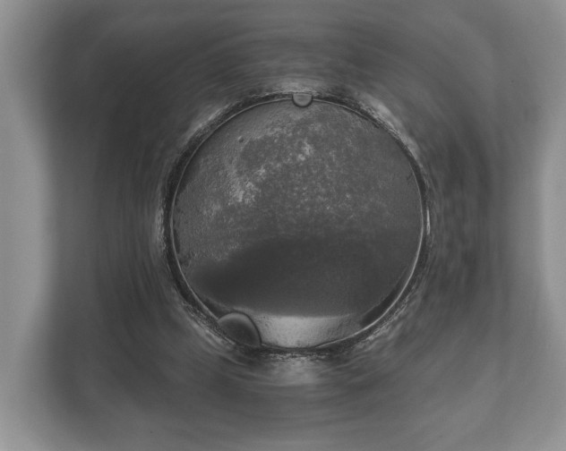 X0000110320249200905281638