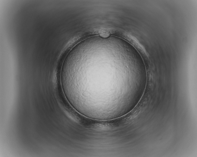 X0000110320250200905281638