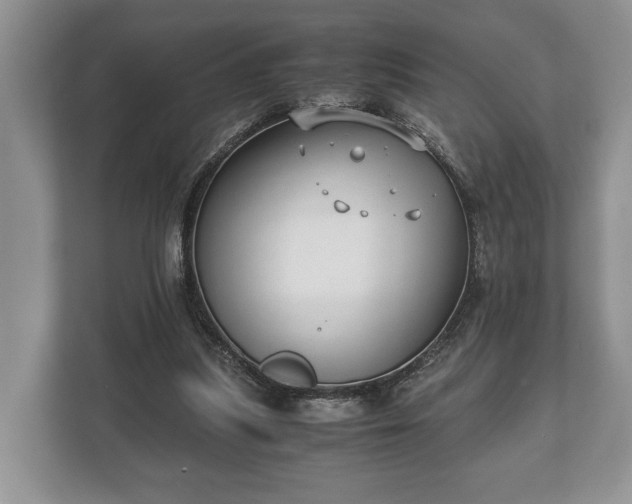 X0000110320251200905281638