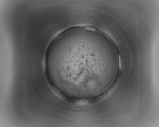 X0000110320252200905281638