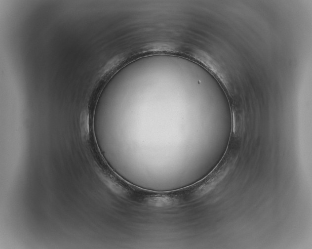 X0000110320253200905281638