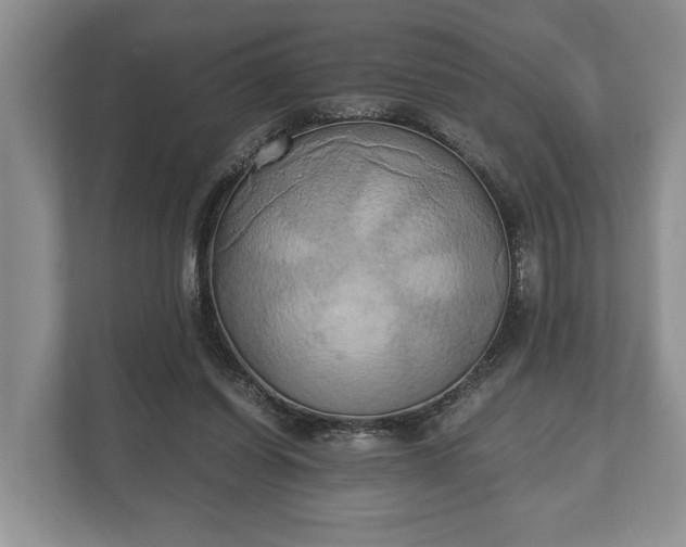 X0000110320254200905281638