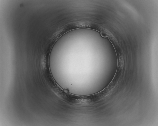 X0000110320255200905281638