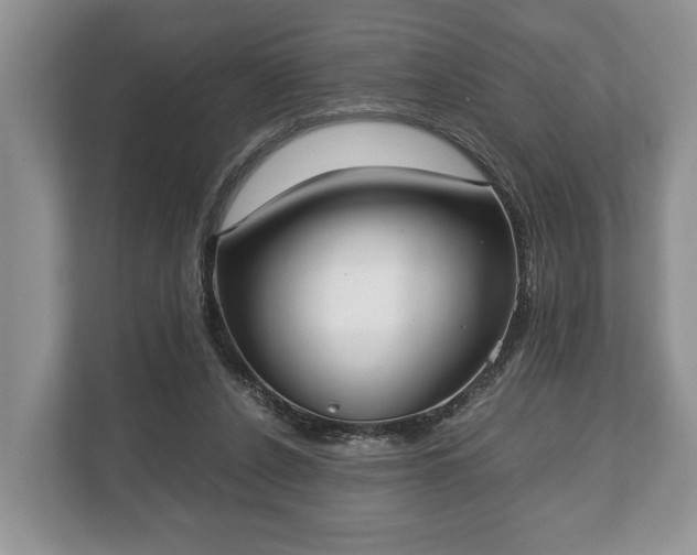 X0000110320256200905281638