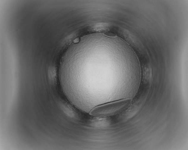 X0000110320260200905281638