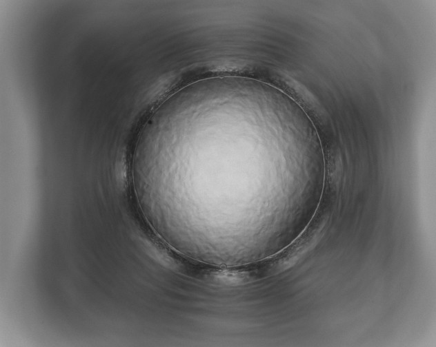 X0000110320261200905281638