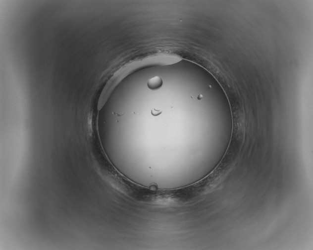 X0000110320262200905281638