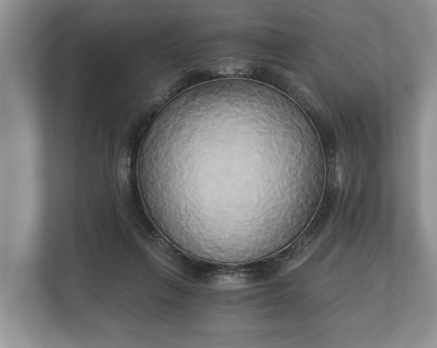 X0000110320263200905281638