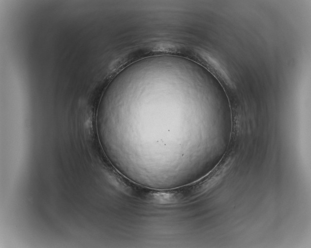 X0000110320265200905281638