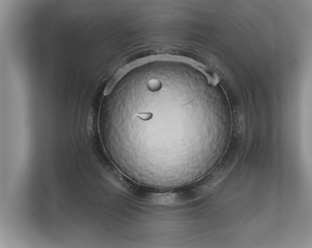 X0000110320266200905281638