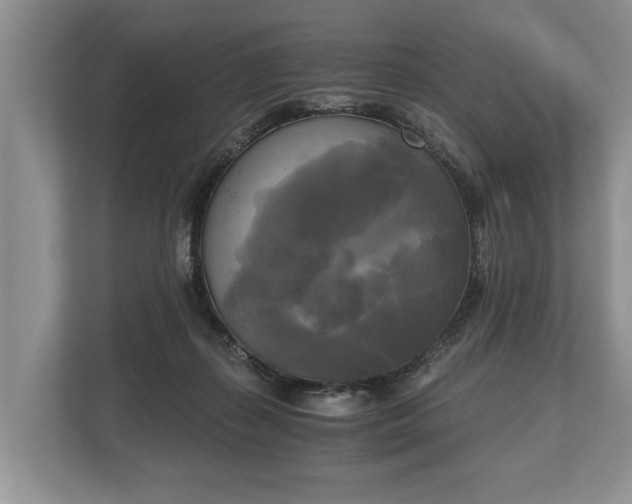 X0000110320267200905281638