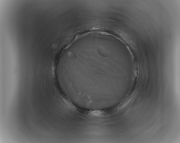 X0000110320269200905281638