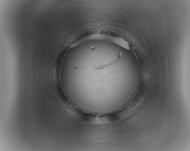 X0000110320270200905281638