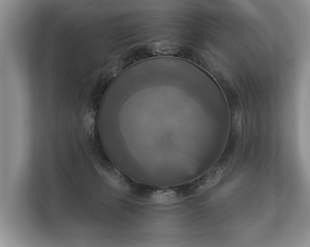 X0000110320271200905281638