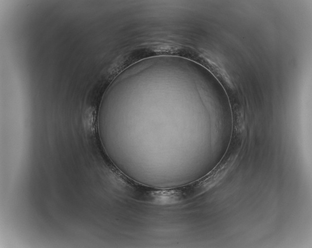 X0000110320273200905281638