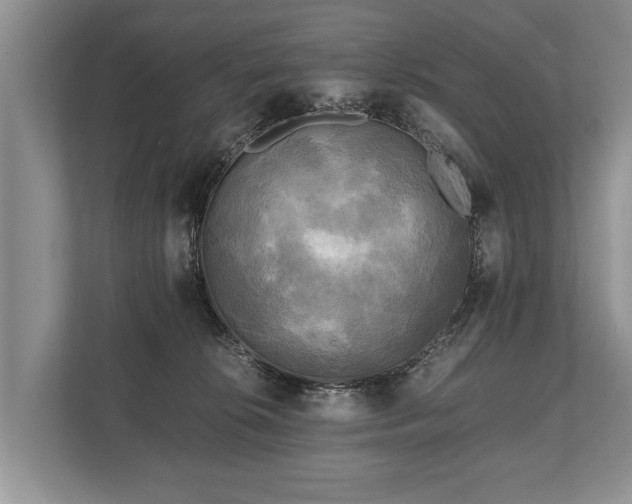 X0000110320276200905281638