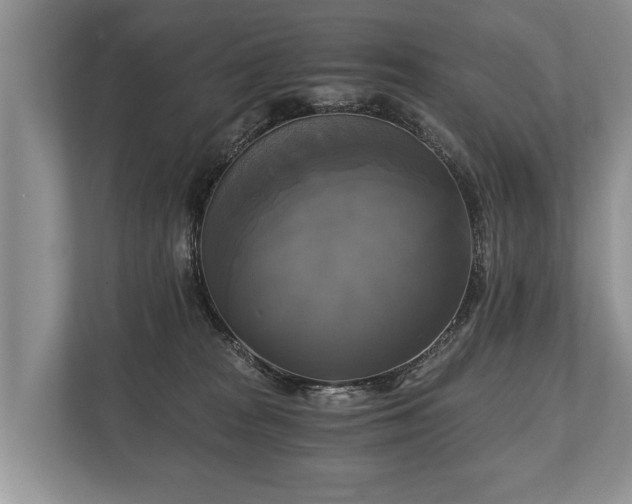 X0000110320277200905281639