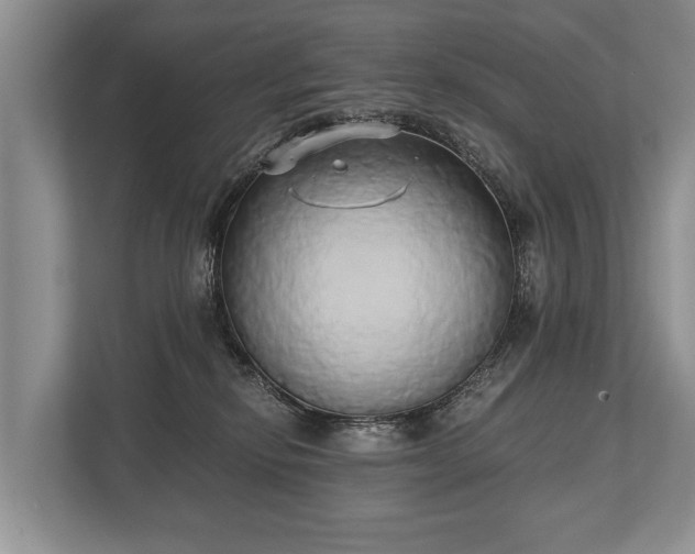 X0000110320278200905281639