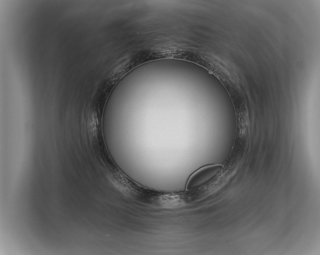 X0000110320279200905281639