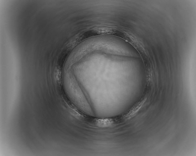 X0000110320281200905281639