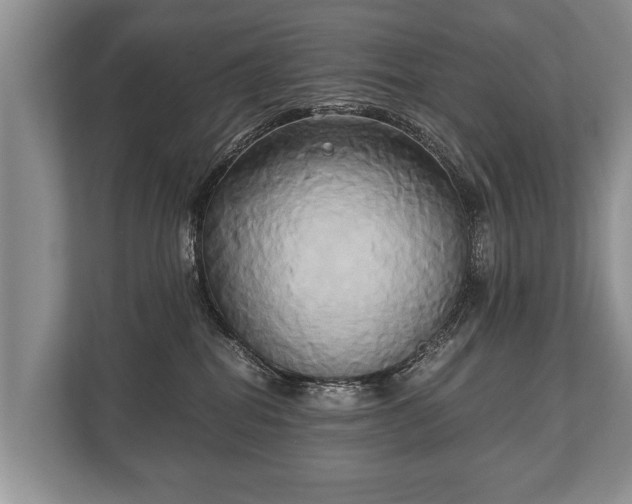 X0000110320282200905281639