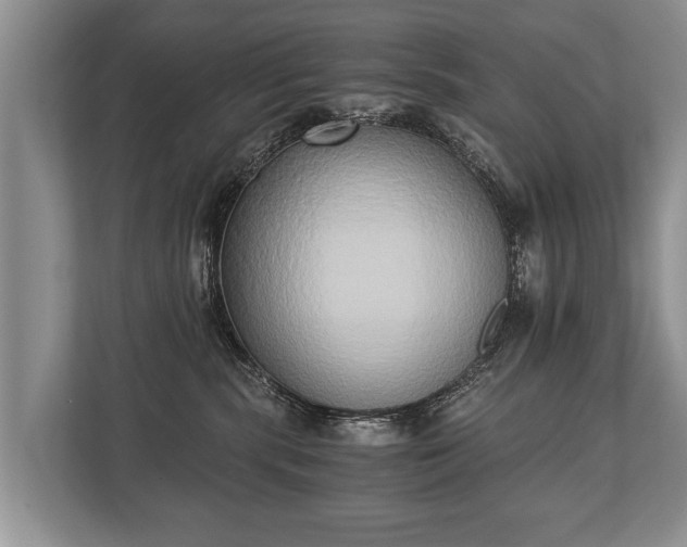 X0000110320283200905281639