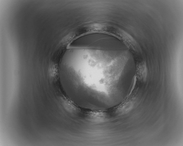 X0000110320284200905281639