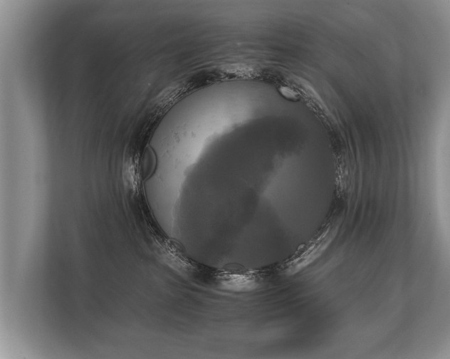 X0000110320285200905281639