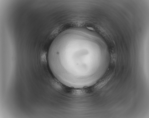 X0000110320286200905281639