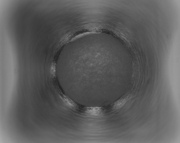 X0000110320288200905281639