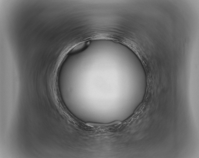 X0000110320289200905281638