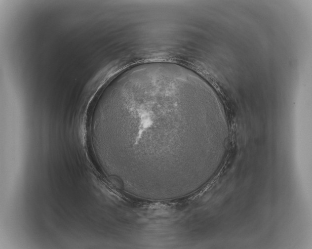 X0000110320290200905281638