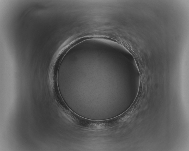 X0000110320295200905281638