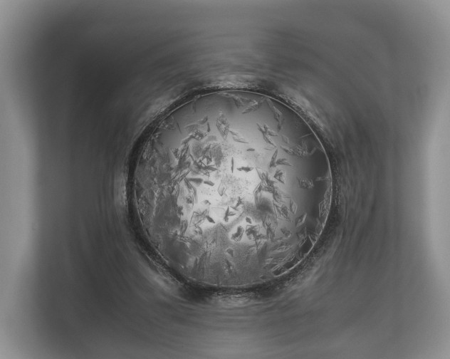 X0000110320299200905281638