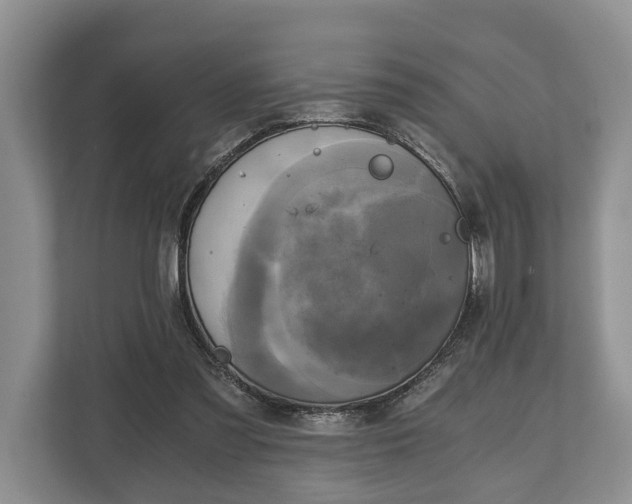 X0000110320301200905281638