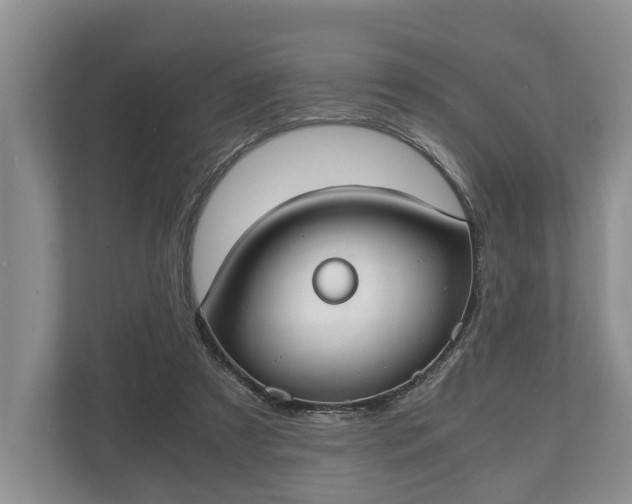 X0000110320305200905281638