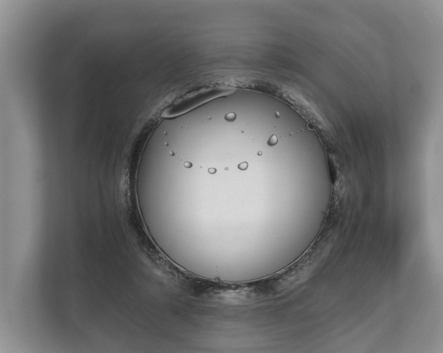 X0000110320306200905281638