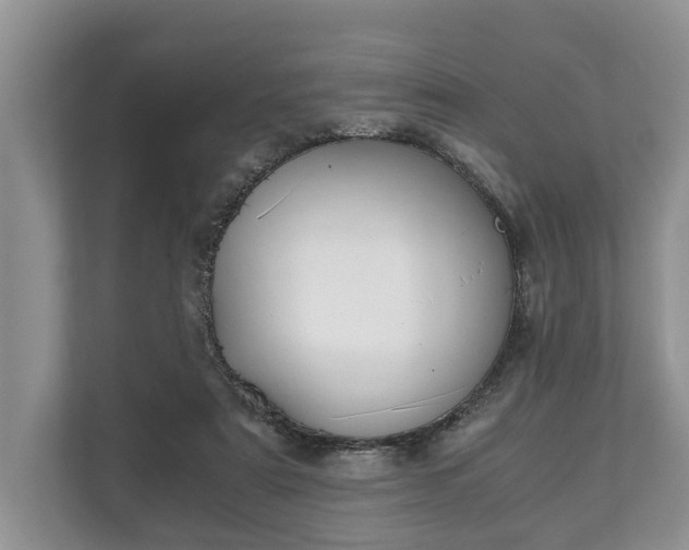 X0000110320307200905281638