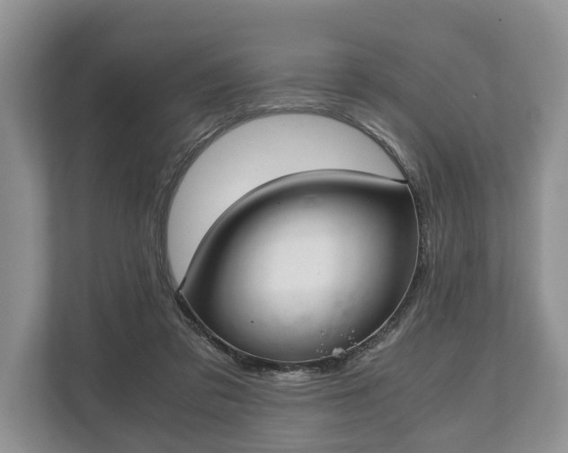 X0000110320309200905281638