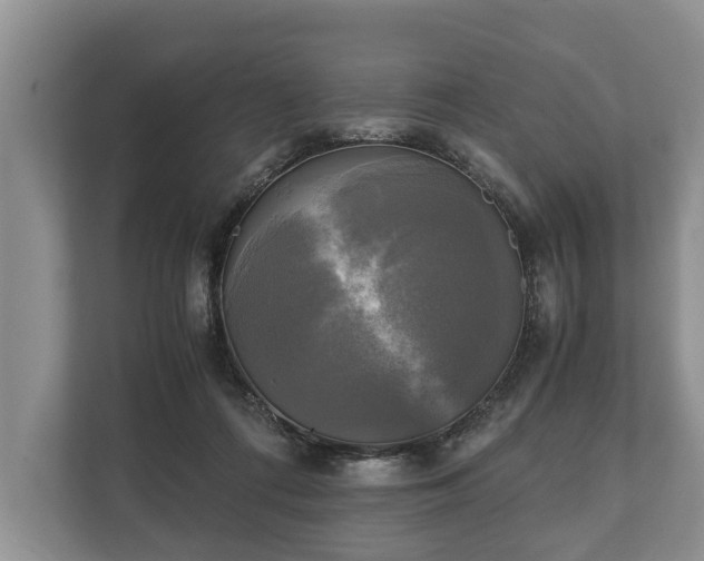 X0000110320312200905281638