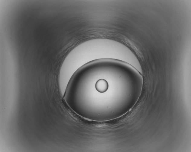 X0000110320313200905281638